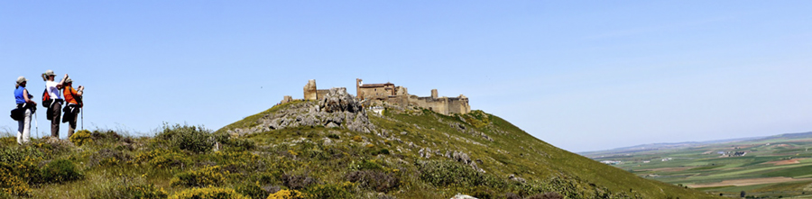 Ruta del Rey Jayón: naturaleza y patrimonio para descubrir la campiña sur